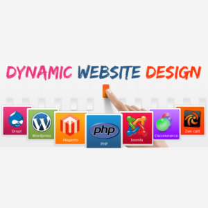 DYNAMIC WEBSITE