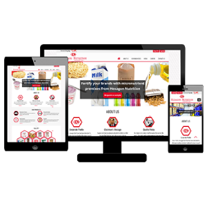 DYNAMIC WEBSITE